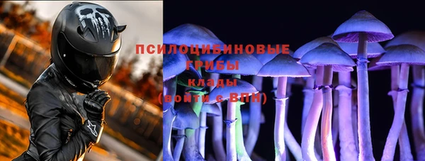 трава Наволоки