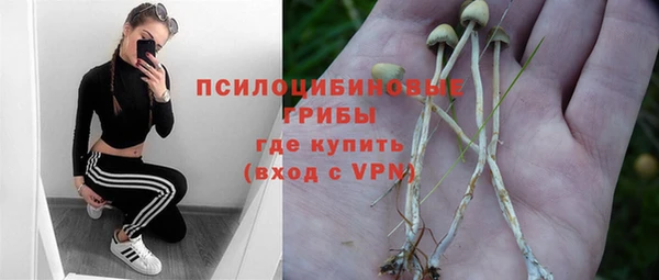 стафф Нея