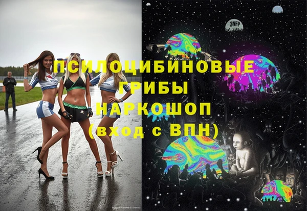 трава Наволоки