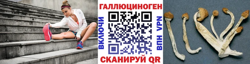 цены   Узловая  Галлюциногенные грибы MAGIC MUSHROOMS 